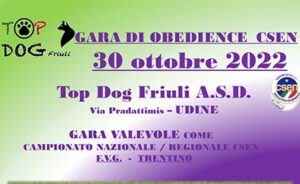 Gara di Obedience CSEN - Udine