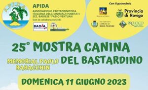 25° Mostra Canina del Bastardino - Badia Polesine (RO)