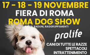 International Dog Show 2023 - Roma