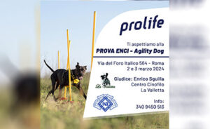 Prova ENCI - Agility Dog