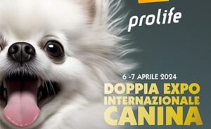 The Dog Show - Montichiari (BS)