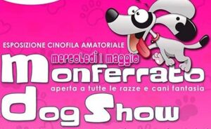 Dog Show - Monferrato (AL)