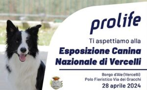 Esposizione Canina Nazionale - Vercelli